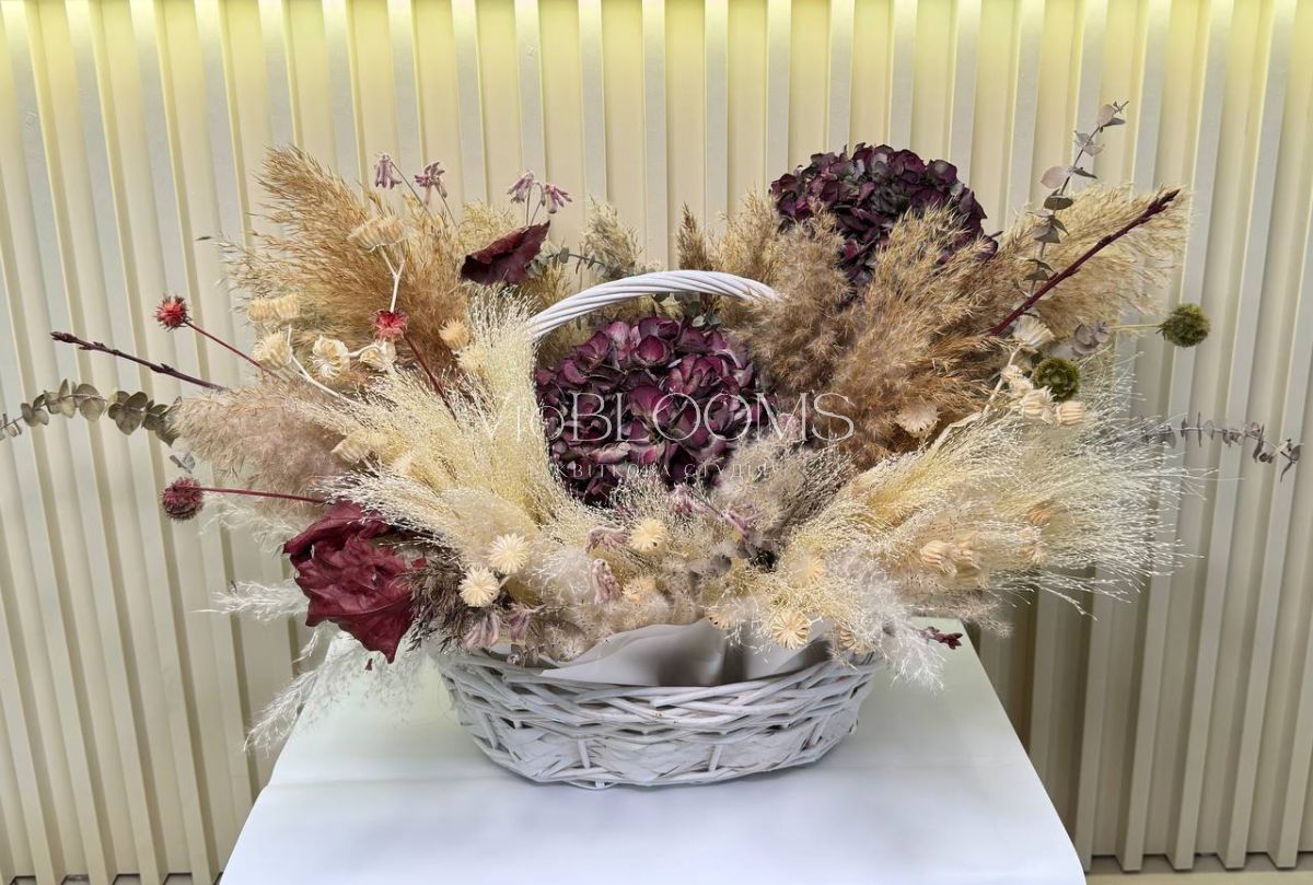 Гортензія мрії